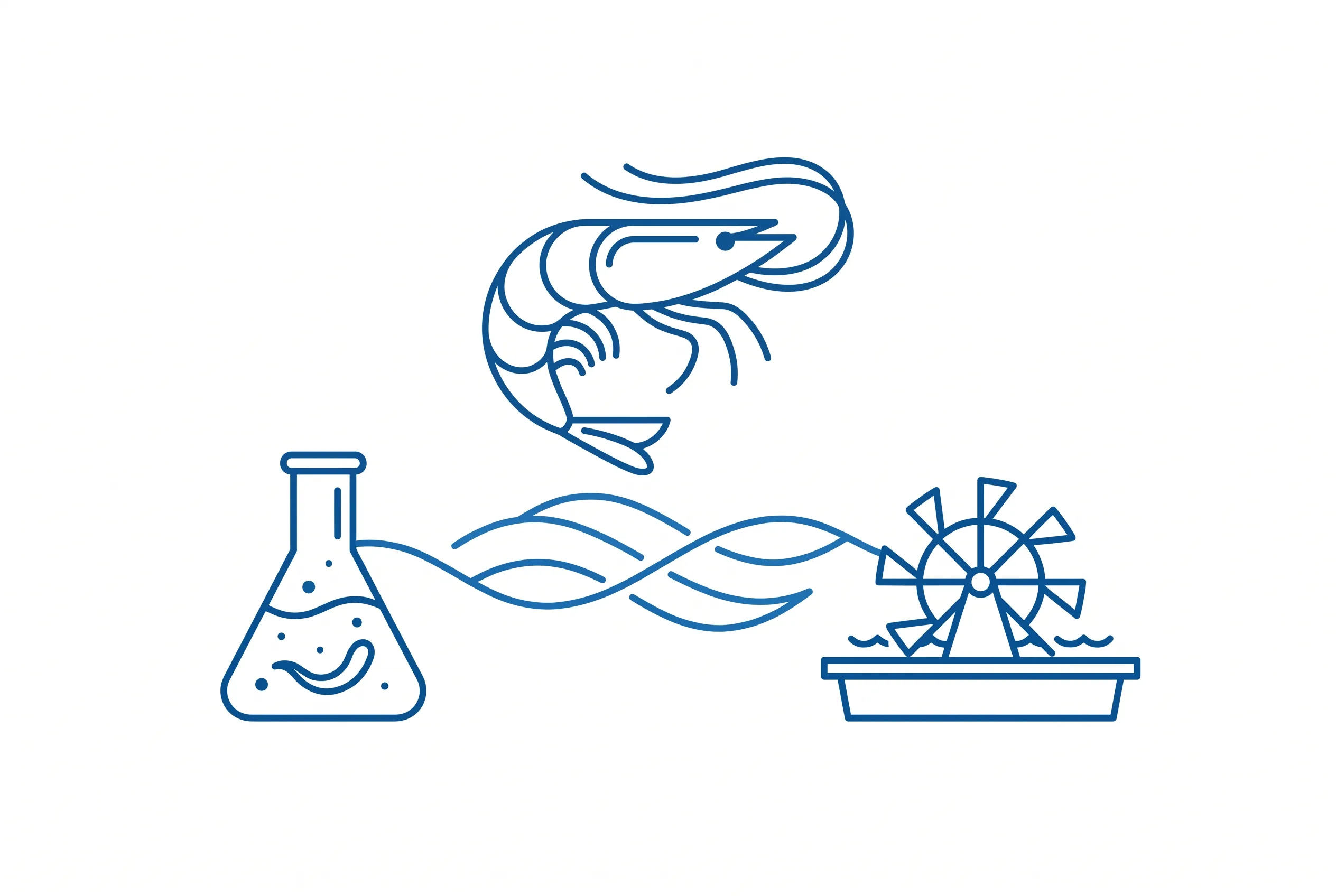 Ilustración del proceso acuícola de Acuasam: laboratorio de larvas, agua y aireación